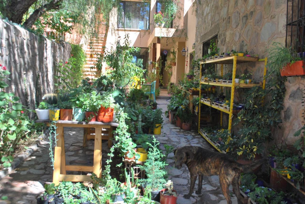 Apartamento En El Vivero Tilcara Bagian luar foto