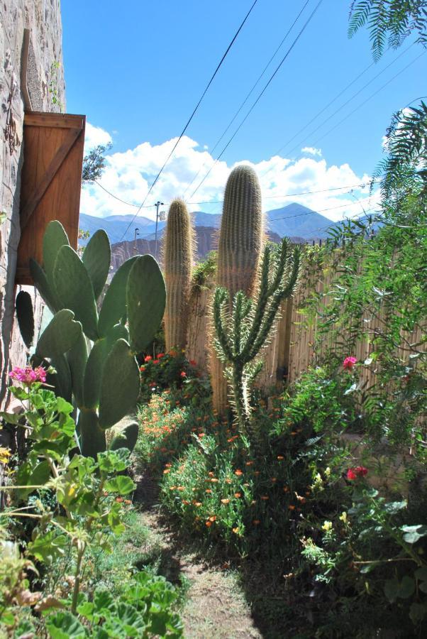 Apartamento En El Vivero Tilcara Bagian luar foto