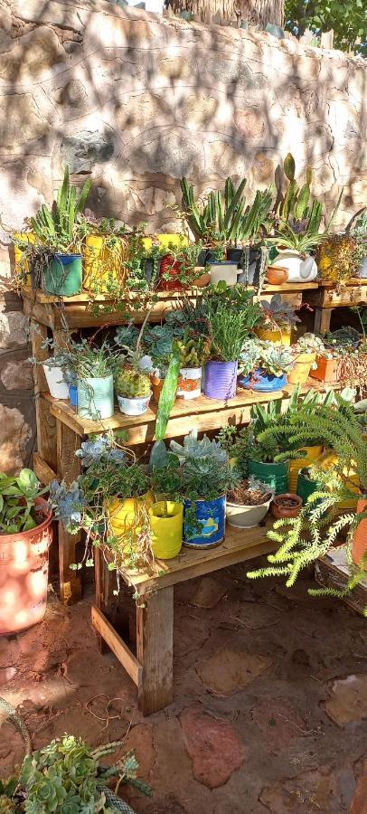 Apartamento En El Vivero Tilcara Bagian luar foto