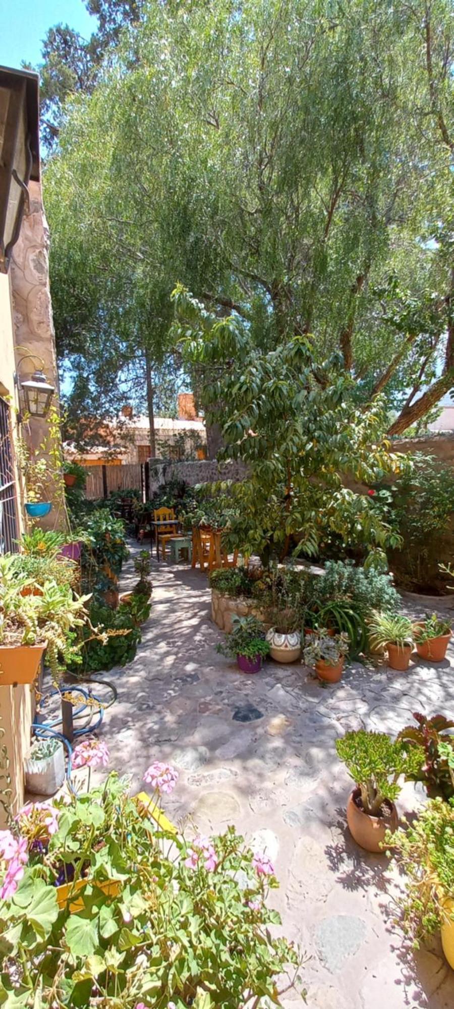 Apartamento En El Vivero Tilcara Bagian luar foto